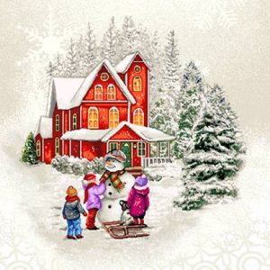 Almofada Decorativa – 24-404