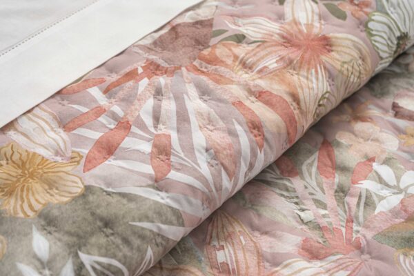 134163151382914607-Bahia_3 Bouty Bahia